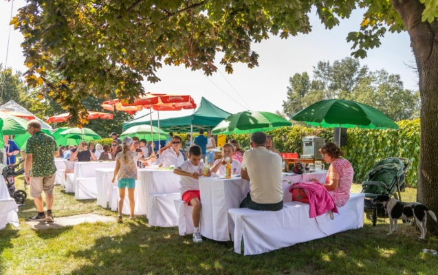 1.Familientag der NÖ Malerinnung in Korneuburg